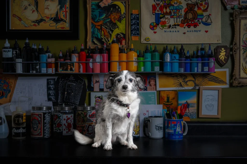 Minneapolis pet photographer dog portrait